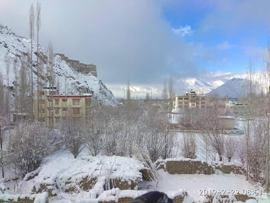 列城 Snow Lion Ladakh酒店 外观 照片